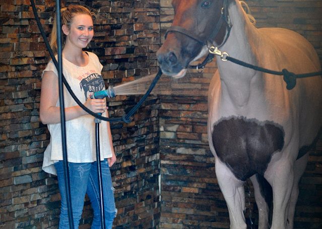 005-Amiga-APHA-Mare-For-Sale