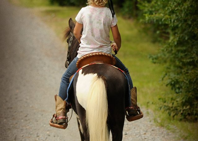 005-Candy-Paint-pony-for-sale