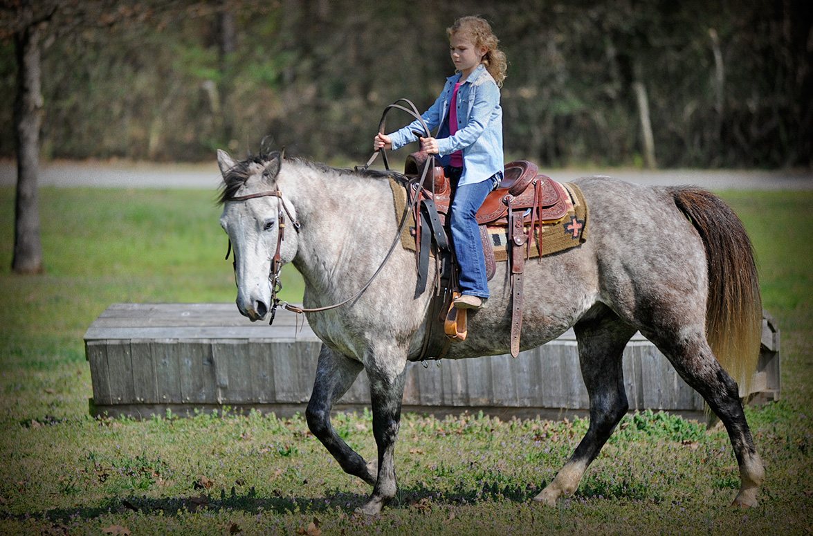 Kids Riding Ability Overview Video