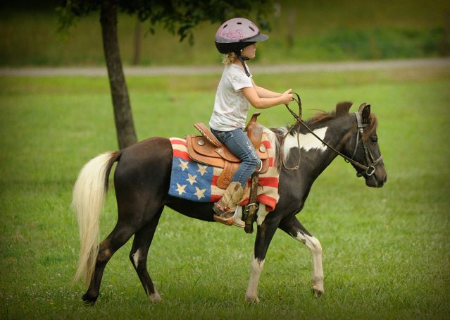 007-Candy-Paint-pony-for-sale