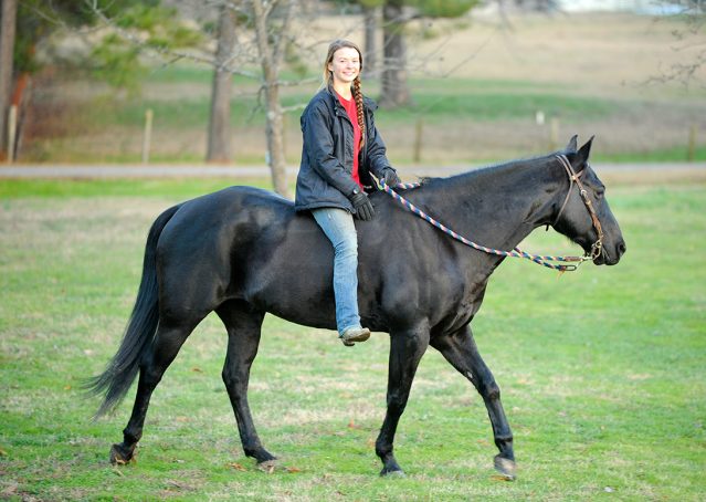 009-Cajun-Black-quarter-horse-for-sale
