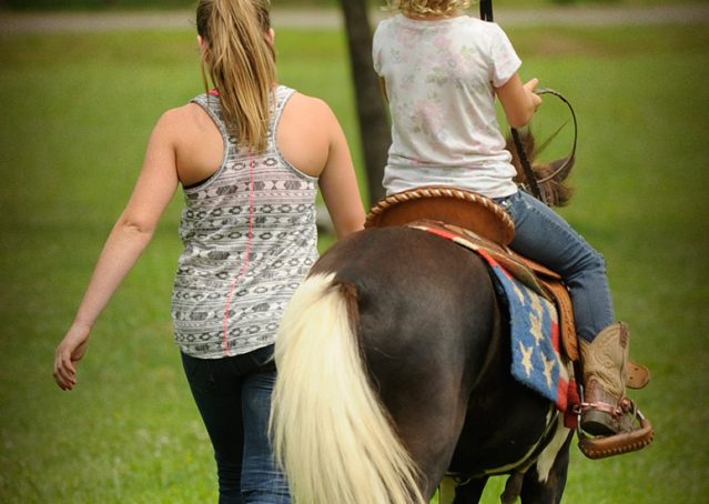 009-Candy-Paint-pony-for-sale