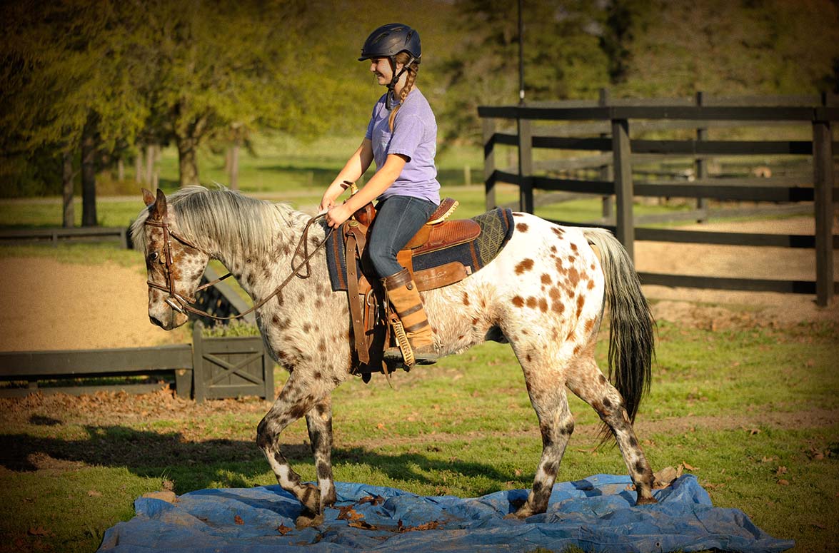 Kids Riding Ability Overview Video