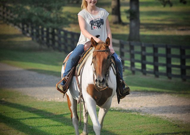 010-Amiga-APHA-Mare-For-Sale