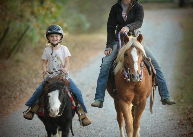 011-Sonney-Chestnut-pony-for-sale