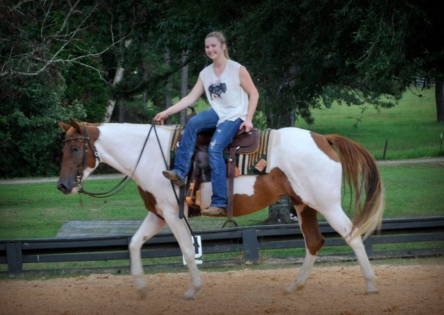 013-Amiga-APHA-Mare-For-Sale