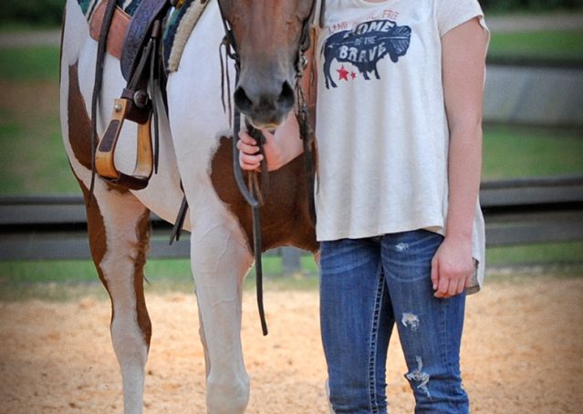 014-Amiga-APHA-Mare-For-Sale