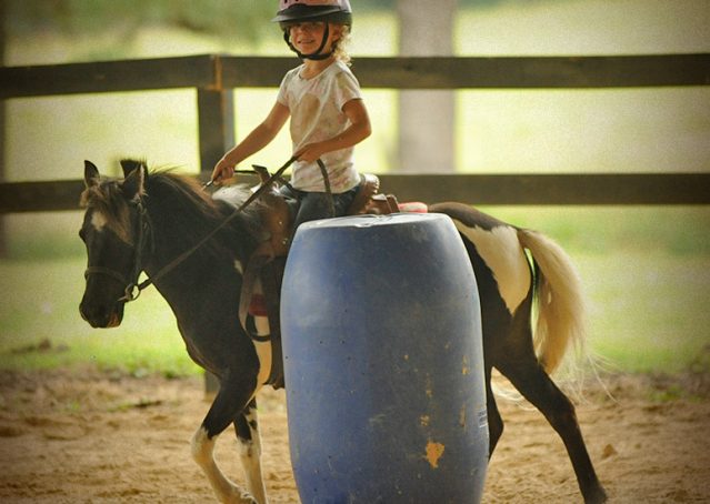 014-Candy-Paint-pony-for-sale