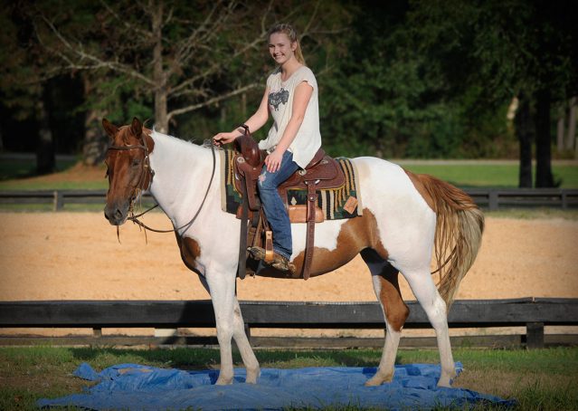 015-Amiga-APHA-Mare-For-Sale