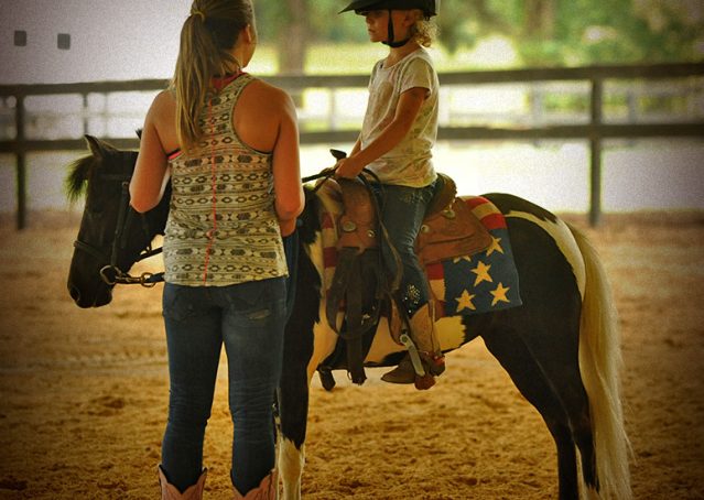 015-Candy-Paint-pony-for-sale