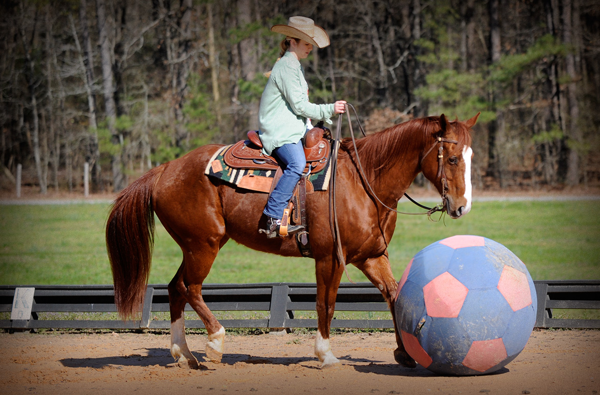 Kids Riding Ability Overview Video