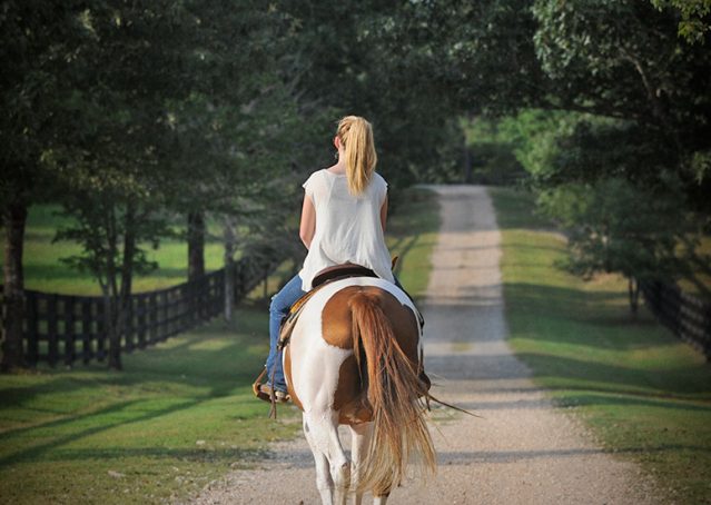 016-Amiga-APHA-Mare-For-Sale