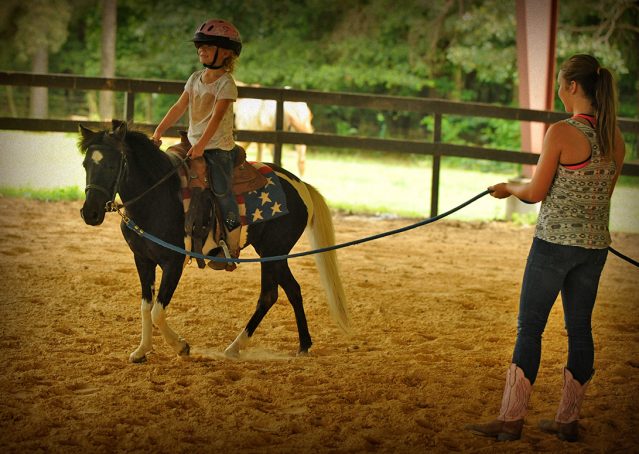016-Candy-Paint-pony-for-sale