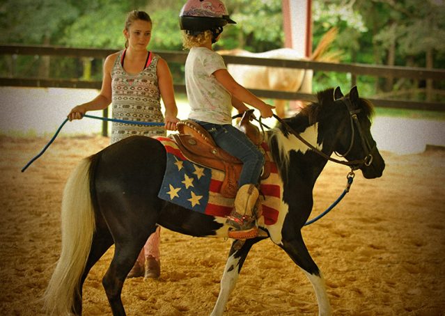 017-Candy-Paint-pony-for-sale