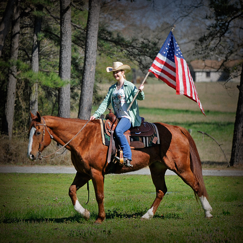 Great American Ranch And Trail Horse Sale With Horse ...