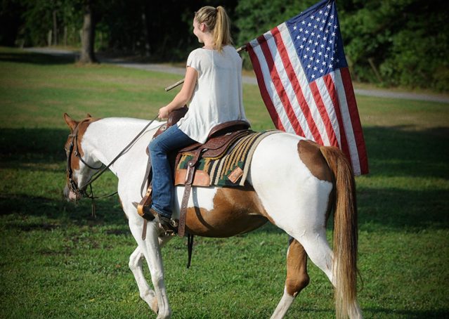 020-Amiga-APHA-Mare-For-Sale