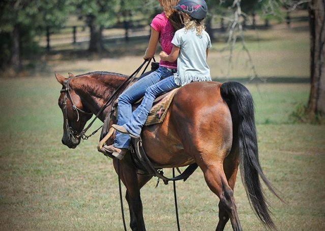 021-Colonel-AQHA-bay-gelding-for-sale