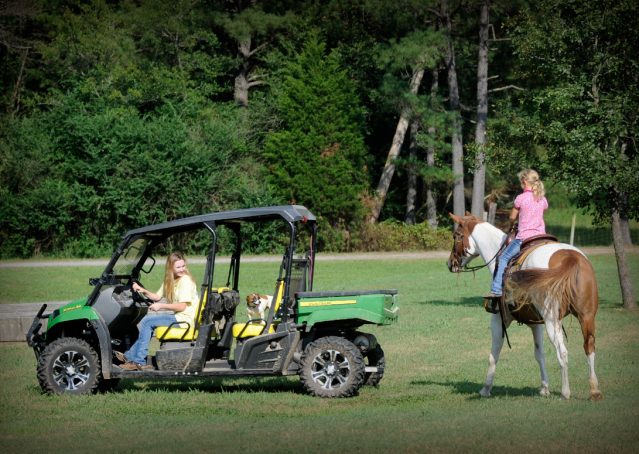 023-Amiga-APHA-Mare-For-Sale