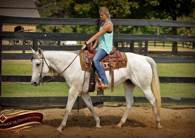 007-Kitty-Gray-AQHA-Mare-For-Sale
