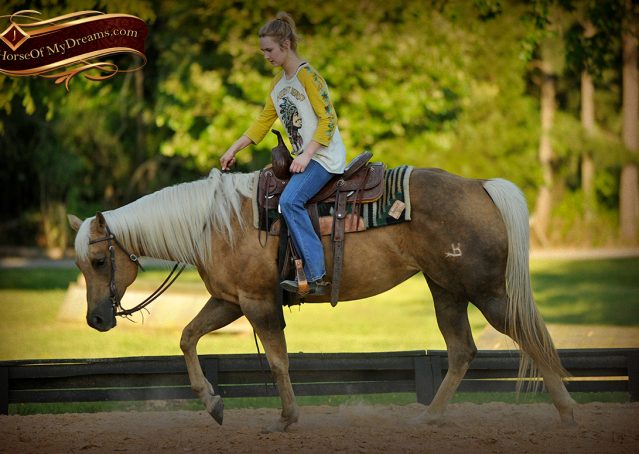 010-Angel-Palomino-Quarter-Horse-Mare-For-Sale