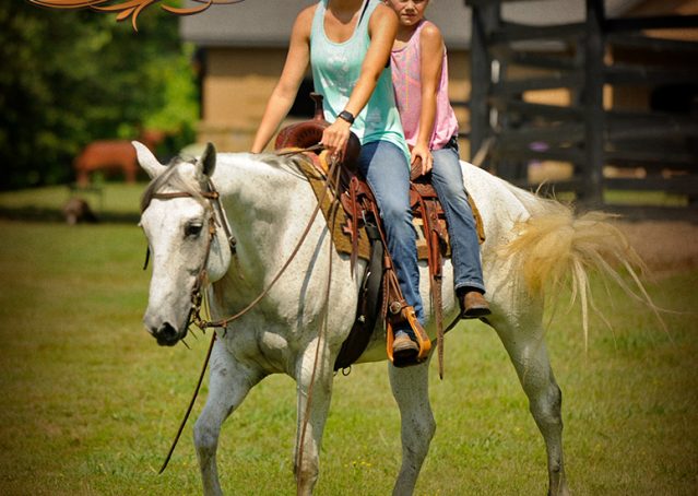 010-Kitty-Gray-AQHA-Mare-For-Sale