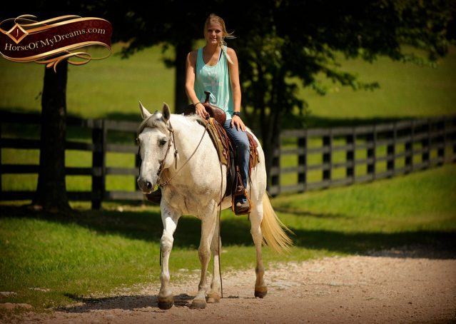 024-Kitty-Gray-AQHA-Mare-For-Sale