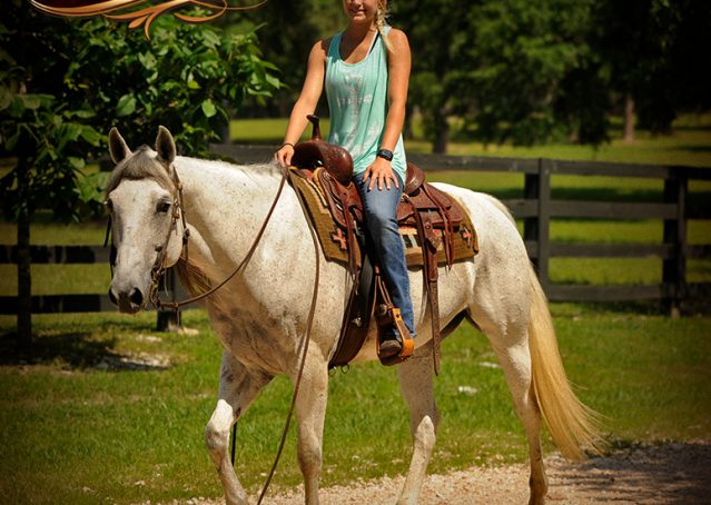 025-Kitty-Gray-AQHA-Mare-For-Sale