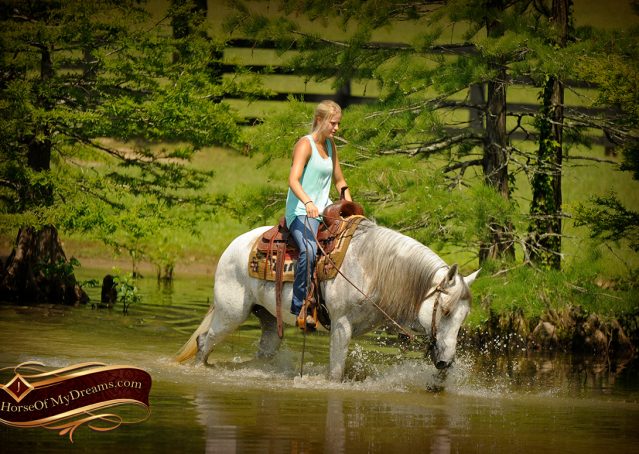 029-Kitty-Gray-AQHA-Mare-For-Sale