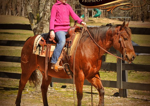 020-Wagner-Bay-AQHA-Gelding-For-Sale