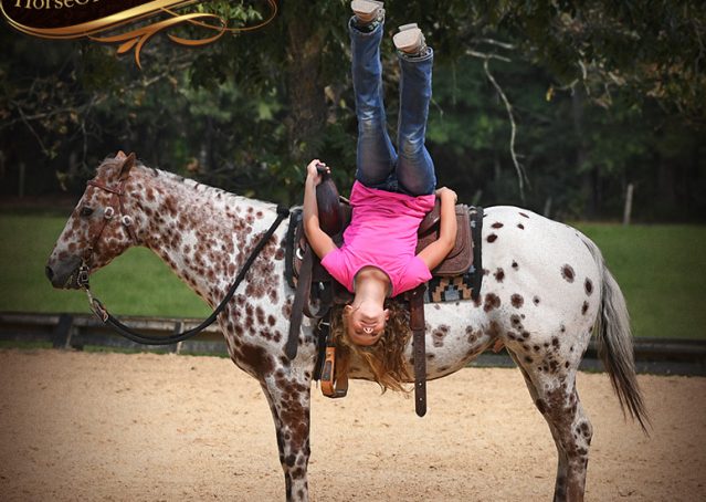 014-Sully-Leopard-appaloosa-POA-kids-pony-fancy-for-sale