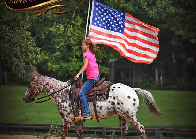 018-Sully-Leopard-appaloosa-POA-kids-pony-fancy-for-sale