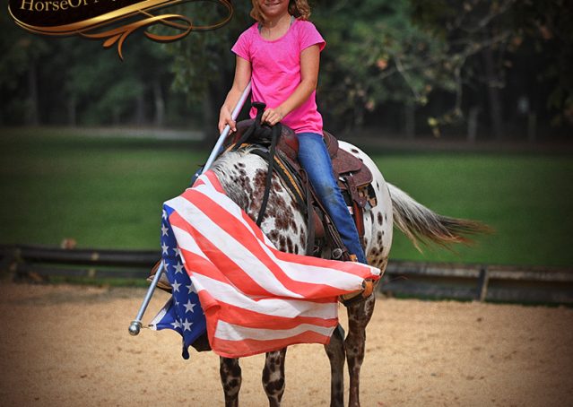 021-Sully-Leopard-appaloosa-POA-kids-pony-fancy-for-sale