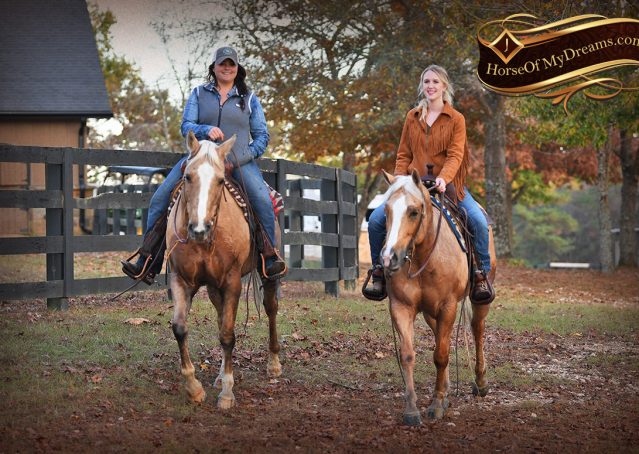 007-Lincoln-AQHA-Palomino-Nu-Chex-To-Cash-NRHA-Gelding-For-Sale-Reiner-Reining