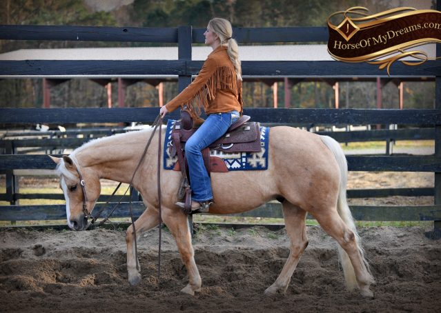 009-Lincoln-AQHA-Palomino-Nu-Chex-To-Cash-NRHA-Gelding-For-Sale-Reiner-Reining