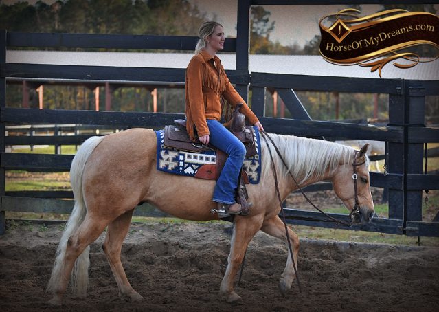 010-Lincoln-AQHA-Palomino-Nu-Chex-To-Cash-NRHA-Gelding-For-Sale-Reiner-Reining