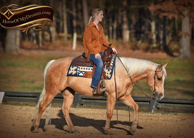 012-Lincoln-AQHA-Palomino-Nu-Chex-To-Cash-NRHA-Gelding-For-Sale-Reiner-Reining
