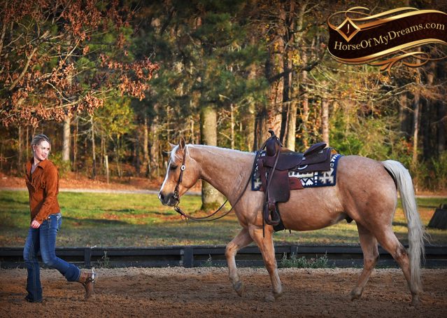 02--Lincoln-AQHA-Palomino-Nu-Chex-To-Cash-NRHA-Gelding-For-Sale-Reiner-Reining
