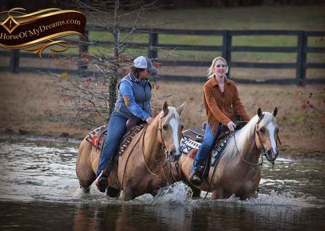 027-Lincoln-AQHA-Palomino-Nu-Chex-To-Cash-NRHA-Gelding-For-Sale-Reiner-Reining