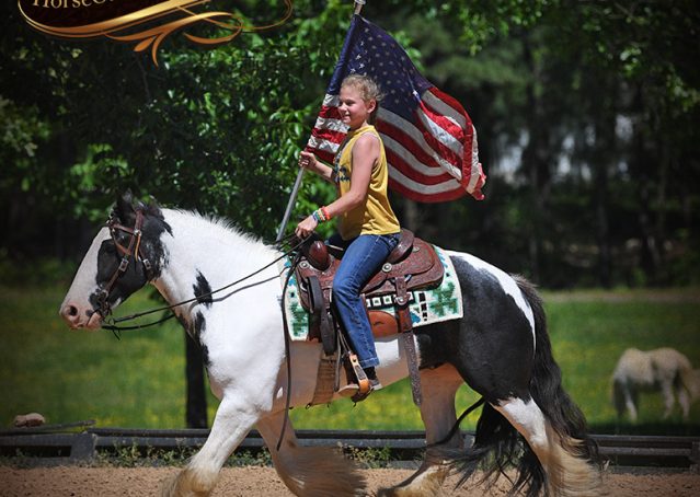 013-Charley-Gypsy-Vanner-Gelding-kids-beginner-gelding-for-sale-black-white-paint