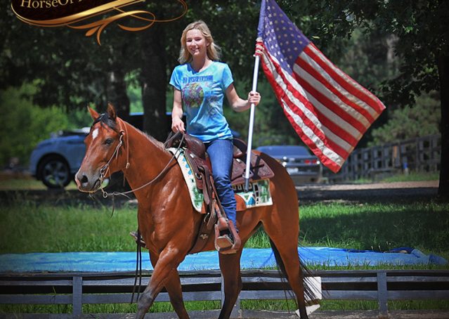 014-Gator-AQHA-Bay-Gelding-For-Sale