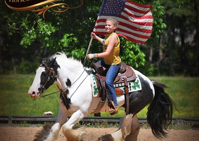 015-Charley-Gypsy-Vanner-Gelding-kids-beginner-gelding-for-sale-black-white-paint