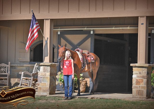 007-Magic-AQHA-Bay-Gelding-For-Sale-Ranch
