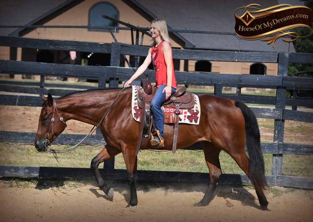 008-Magic-AQHA-Bay-Gelding-For-Sale-Ranch