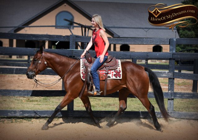 009-Magic-AQHA-Bay-Gelding-For-Sale-Ranch