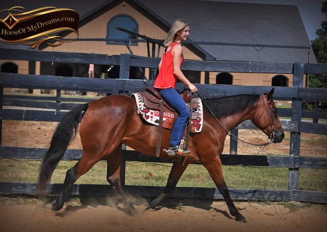 010-Magic-AQHA-Bay-Gelding-For-Sale-Ranch