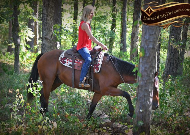 012-Magic-AQHA-Bay-Gelding-For-Sale-Ranch