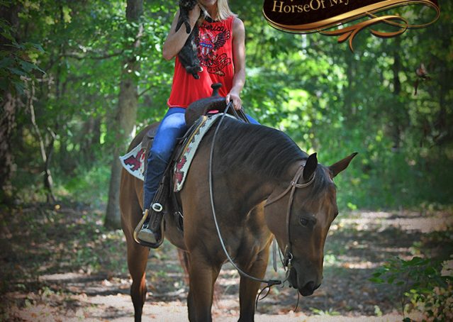 013-Magic-AQHA-Bay-Gelding-For-Sale-Ranch