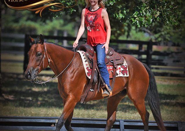 015-Magic-AQHA-Bay-Gelding-For-Sale-Ranch