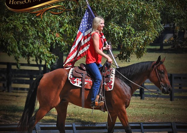 017-Magic-AQHA-Bay-Gelding-For-Sale-Ranch
