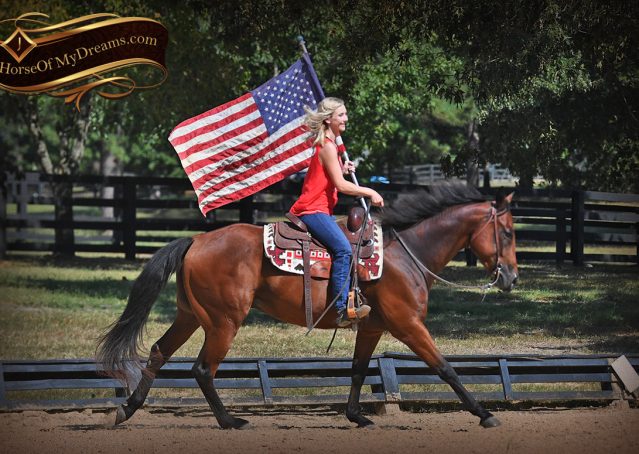 018-Magic-AQHA-Bay-Gelding-For-Sale-Ranch